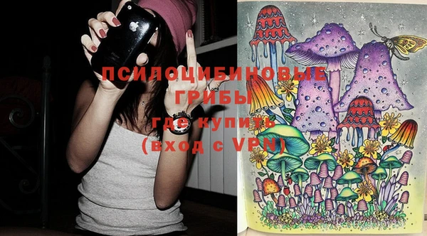 Альфа ПВП Абаза