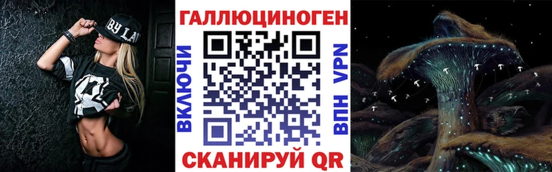 где можно купить Котельнич кракен ссылки Галлюциногенные грибы мицелий